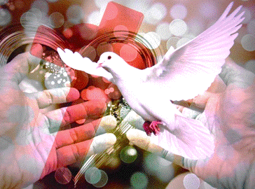 Ein Bild, das Vogel, Feder, Schnabel, Fl�gel enth�lt.

KI-generierte Inhalte k�nnen fehlerhaft sein.